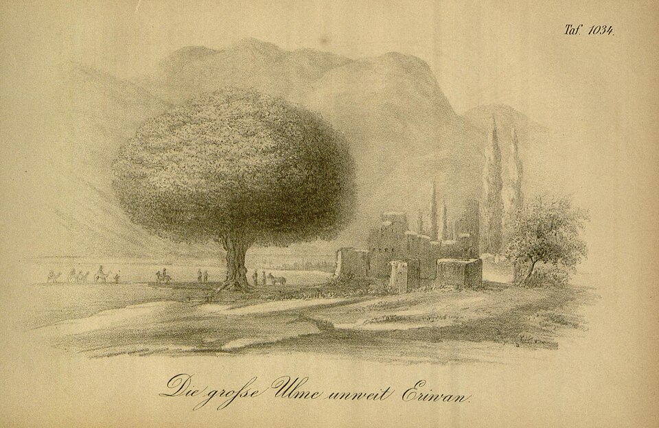 File:Die grosse Ulme unweit Eriwan.jpg