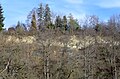 Geotop Prallhang rechts der Eyach