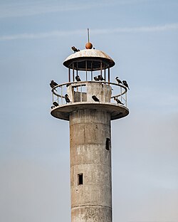 Top (lantern room and cupola) of Kiipsaare Lighthouse occupied by cormorants, 2023