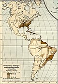 Afro-Brazilians (1901)