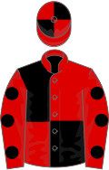 Red and black (quartered), red sleeves, black spots
