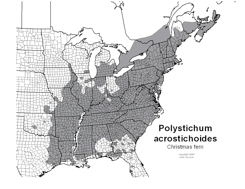 File:Polystichum acrostichoides map.GIF
