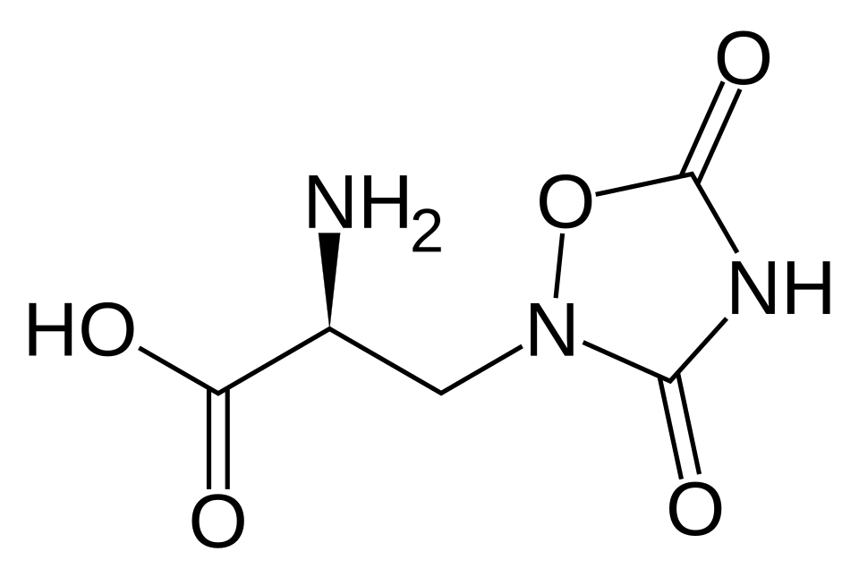 File:Quisqualic acid.svg