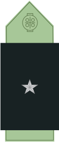 File:SS.OO.8.GEND.CAMISA.SUBTENIENTE.svg