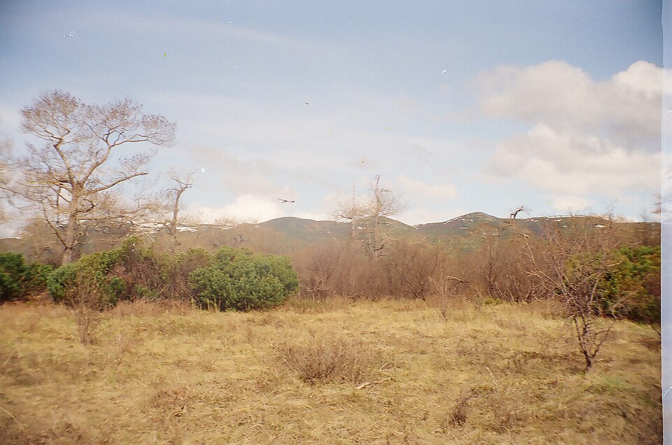 File:Таватум2.jpg