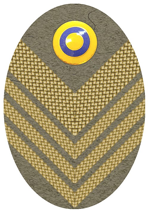File:10 Överste armén mössmärke 1940.jpg