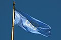 Image 22The Flag of the United Nations fly at United Nations Plaza in the Civic Center, San Francisco, California. The UN is one of the key organizations in the process of the political globalization. (from Political globalization)