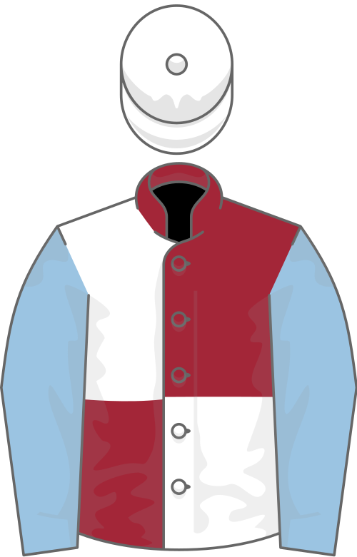 File:Owner Mr H Downs.svg