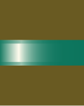 File:PNI.2.CARAB.CAMISA.CBO2.svg