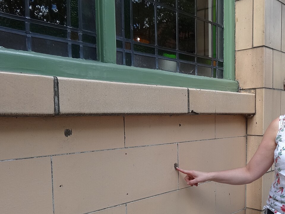 File:The bullet marks.JPG