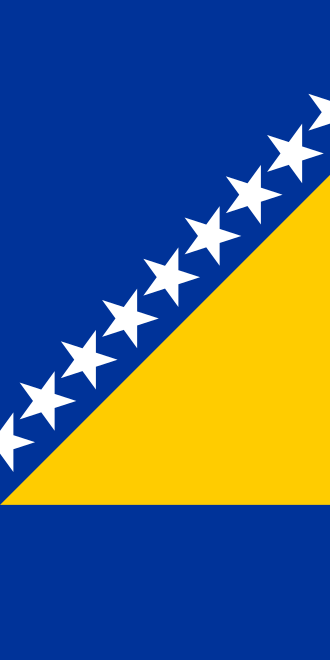 File:Flag of Bosnia and Herzegovina (vertical).svg