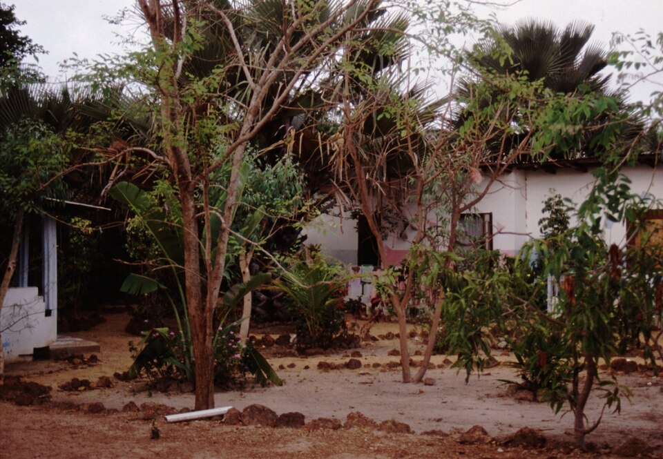 File:Gambia 066 from KG.jpg