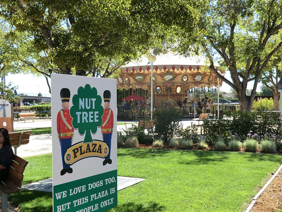File:Nut Tree 824 - panoramio.jpg