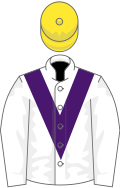 White, purple chevron, yellow cap