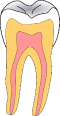 Thumbnail for version as of 12:19, 3 March 2007