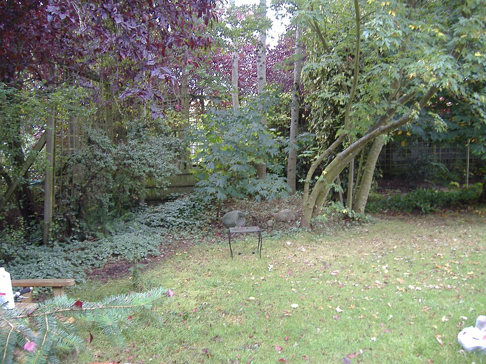 File:Plumsmaplesandmore.JPG