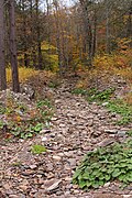 Thumbnail for version as of 13:57, 11 November 2015