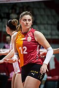 Thumbnail for version as of 17:55, 5 March 2025