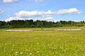 Biotop Steinriegel Gewann Westerberg
