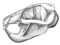 Thumbnail for version as of 01:20, 23 August 2025