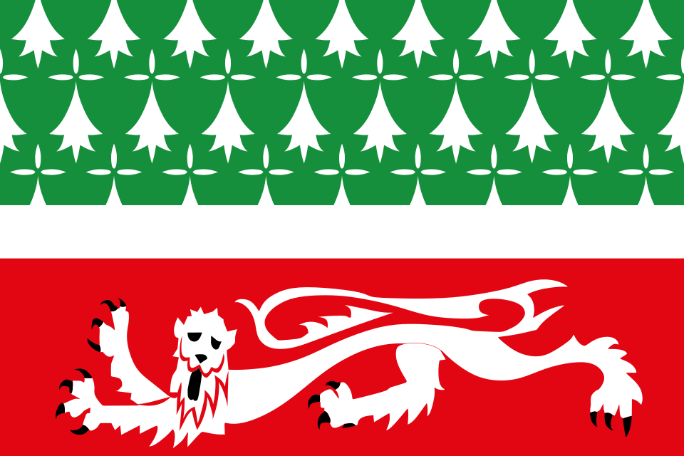 File:Pays Guerchais traditional district flag.svg