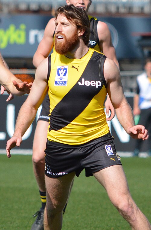 File:Reece Conca VFLAug17.jpg