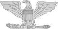 US-O6 insignia shaded.svg