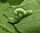Stub icon