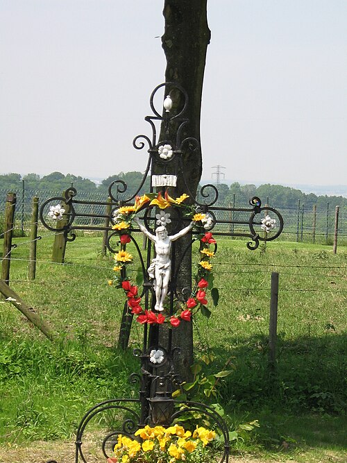 File:HulsWaegkruts.jpg