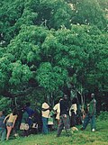 Thumbnail for version as of 00:50, 31 August 2016