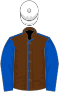 Brown, royal blue seams and sleeves, white cap