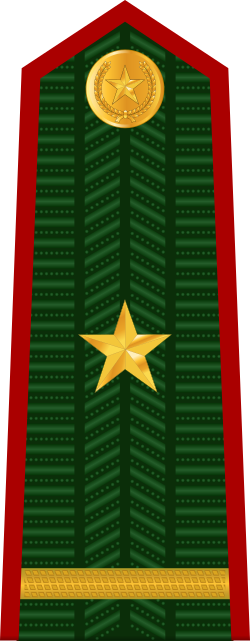 File:VN-Border Guard-OF-1c.svg