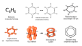 Thumbnail for version as of 08:51, 3 August 2025