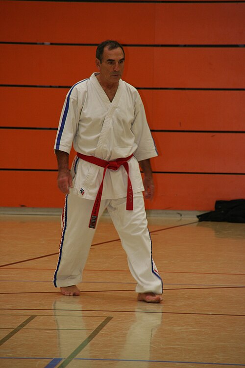 File:Dominique Valera (Regensburg, 2008).jpg