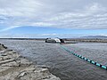 Image 41The Ocean Cleanup is one of many organizations working toward marine conservation such at this interceptor vessel that prevents plastic from entering the ocean. (from Marine conservation)