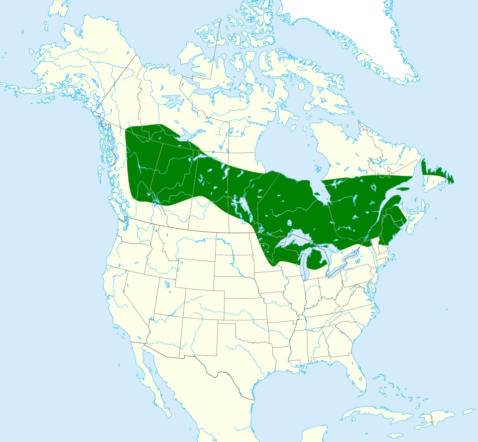 File:Ophiogomphus colubrinus map.svg