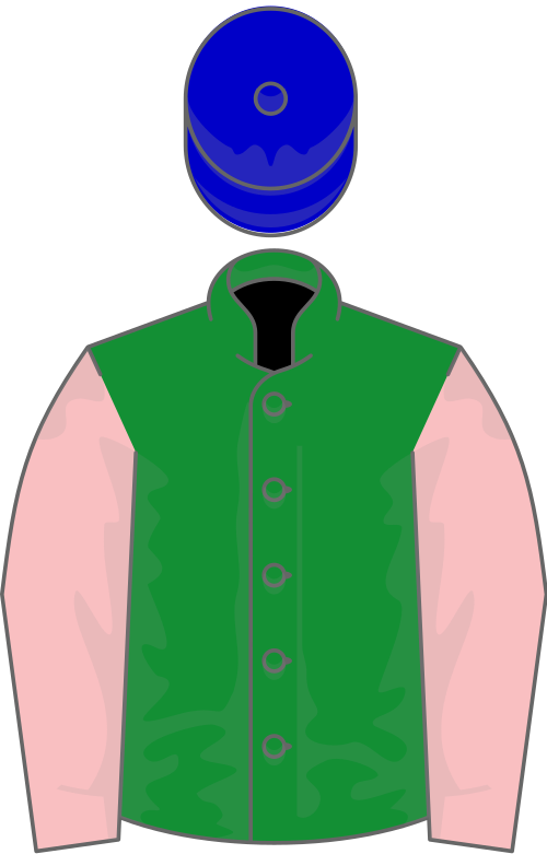 File:Owner MR H MORIN.svg