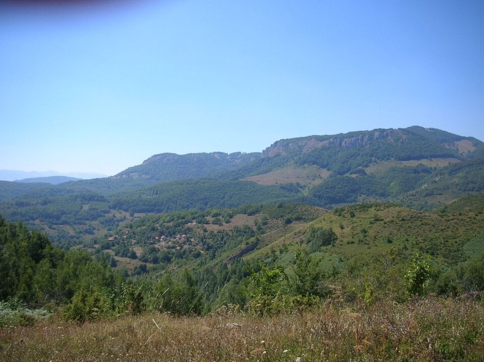 File:Plavuzi.jpg