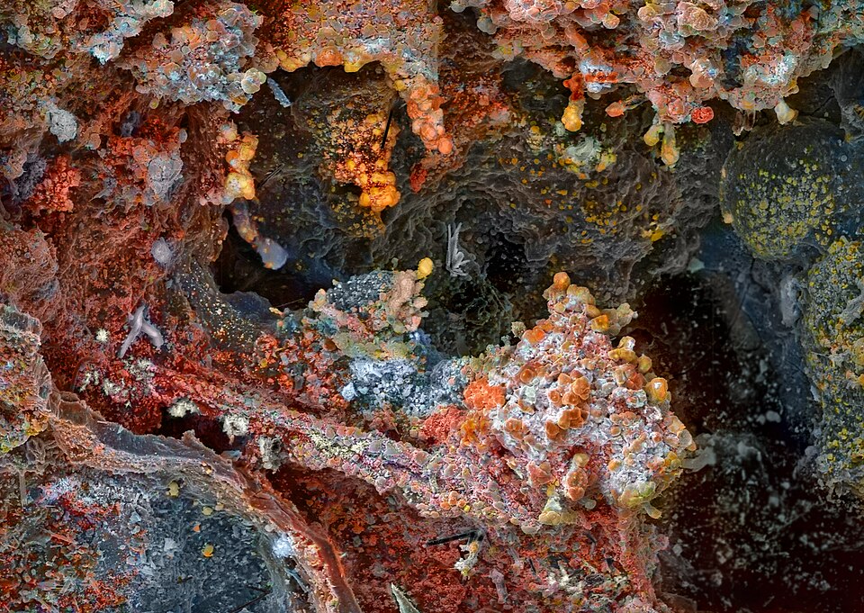 File:Color SEM 4.jpg