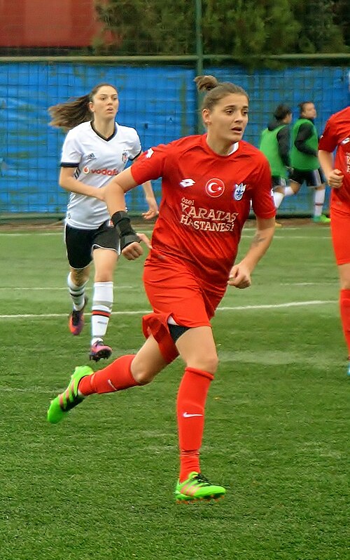 File:CosminaDusa (39).jpg