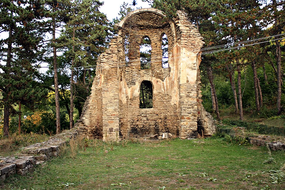 File:KishaSakse2.JPG