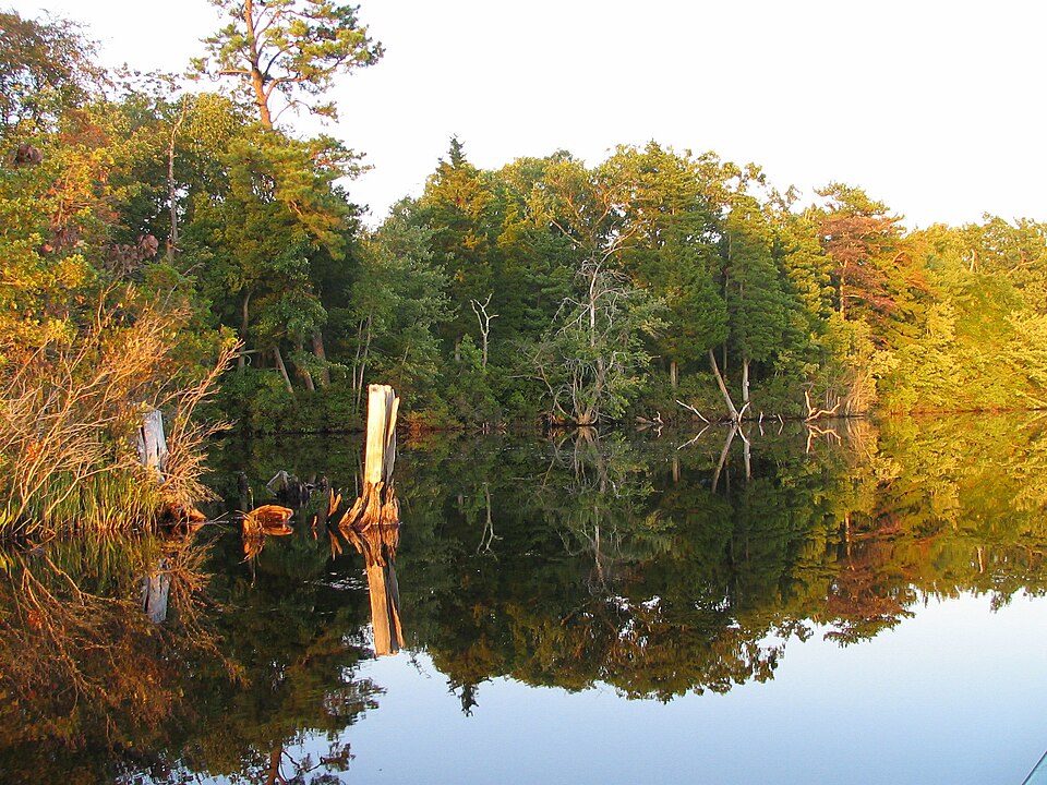 File:Lake Atsion.jpg