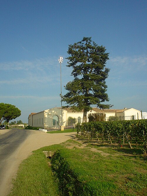 File:Petrus01-MHD.jpg