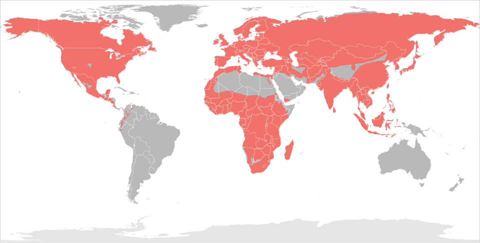 File:Soricidae distribution.png