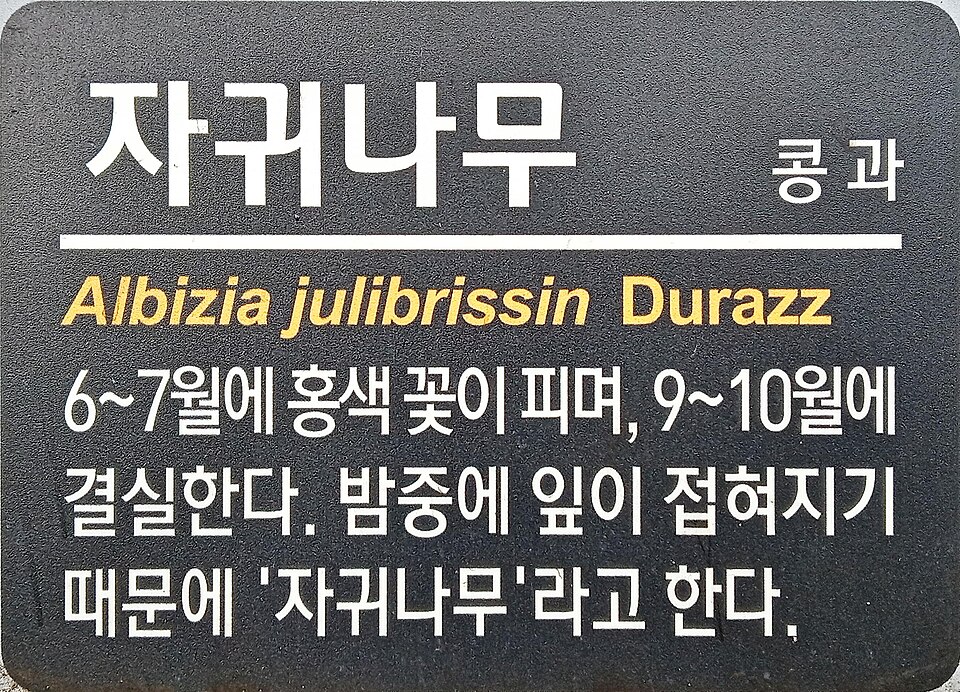 File:자귀나무 sign.jpg