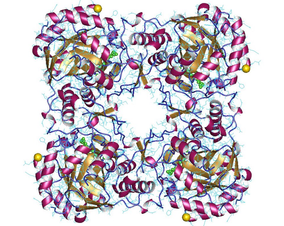 File:2ble.jpg