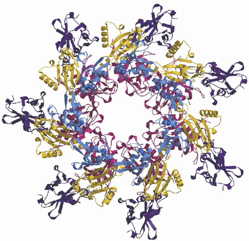 File:ANTHRA 1.JPG