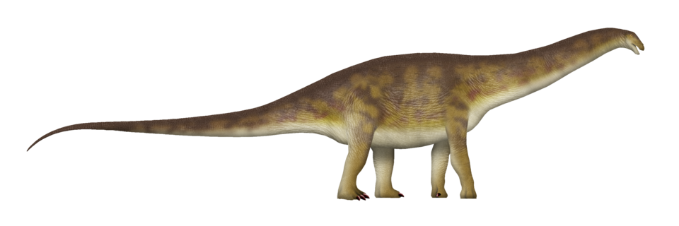 File:Apatosaurus TD.png