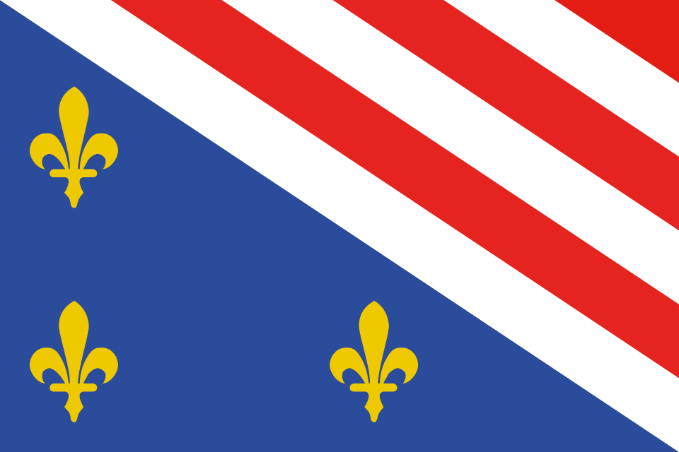 File:Defenders of Sarajevo Flag.svg