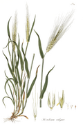 Thumbnail for version as of 00:31, 8 May 2022